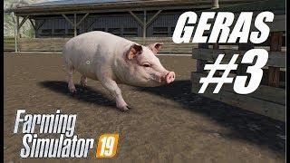 Farming Simulator 2019 #3 // Свиньи // Сколько можно заработать на свиньях? И немножко работы в поле