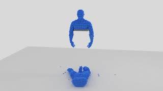 Molecular simulations (ragdolls)