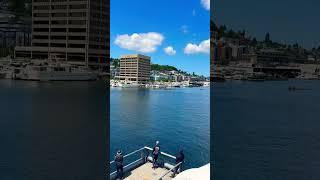 #aisafeatival #usa #games #race #vibes #funtime #seattle #slu #travel #summer #lake