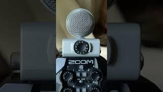 Do They Work as a Sound Interface? Zoom H4n Pro vs H8