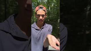 General Pest Treatment