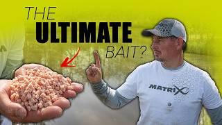 The Ultimate MEAT FISHING Guide with KIERAN MARSDEN | The Oaks Lakes