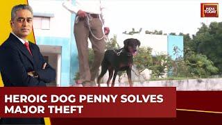 Ahmedabad Police Dog Penny Cracks One Crore Theft Case | Good News Today | Rajdeep Sardesai