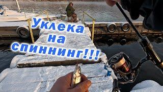 РЫБАЛКА ШАГОВОЙ ДОСТУПНОСТИ ИЛИ ОЗДОРОВИТЕЛЬНАЯ РЫБАЛКА!!!