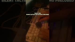 OUTEMU GRAY PRELUBED SILENT TACTILE VS OUTEME RED LUBED LINEAR #keyboard #outemu