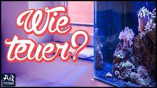 So teuer ist ein Meerwasseraquarium | AquaOwner