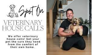 Spot On Vet Stamford & Westport CT Overview Slideshow