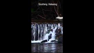 Trailer-3 | Relaxing Music for Studying, Peaceful Soothing Instrumental Music, Sleeping Music, Mood
