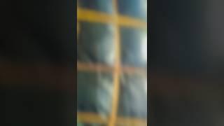 #new #video #ki Naseem Khan 1020 ️️https://youtube.com/shorts/hxceJpFj6zg?si=LyUR_phMmmxm7a0J