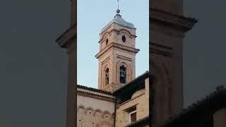 Campane della basilica di San Nicola da Tolentino (MC)
