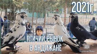 ПТИЧИЙ РЫНОК Г АНДИЖАН 23.11.2021 РЫНОК ГОЛУБЕЙ PIGEONS