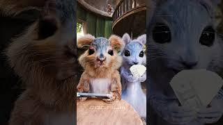 POV: It's the start of the month. #squirrels