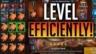 HOW TO FARM XP EFFICIENTLY IN RAID! | Raid: Shadow Legends