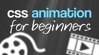 CSS Animation for Beginners