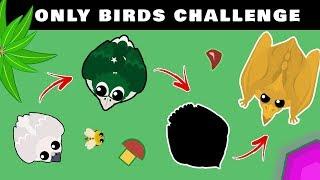 NEW ONLY BIRDS CHALLENGE in MOPE.IO