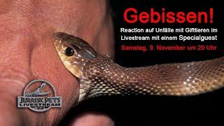 Livestream: Unfälle mit Gifttieren - Reaction-Video über Bisse durch Giftschlangen