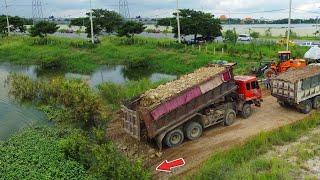 Heavy Machinery!!DUMP Truck 25.5Ton Fill Land Foundation Road Construction Using Bulldozer SHANTUI