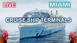  LIVE Port Miami Cruise Ship Terminals