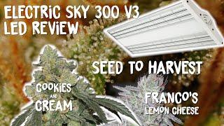 ELECTRIC SKY 300 V3 SEED TO HARVEST REVIEW | GREEN HOUSE SEEDS LEMON CHEESE COOKIES & CREAM STRAINS