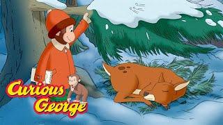 George's Animal Friends  Curious George  Kids Cartoon  Kids Movies