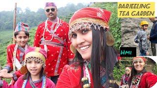 Enjoy Darjeeling tea garden and back to 