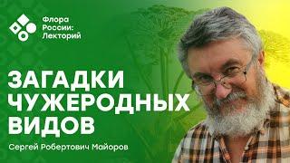 Загадки чужеродных видов (Сергей Майоров)