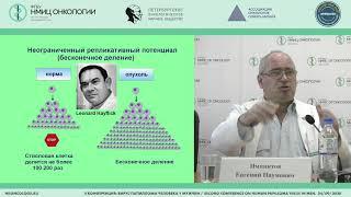 HPV- molecular basis of oncogenesis (Evgeny Imyanitov)