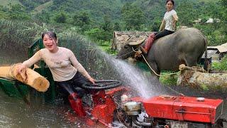 agricultural vehicle timber transport girl logging and timber transport