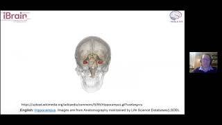 T15 Dr. Natalia Bal "Structures and Functions of Hippocampus" IHNA/iBRAIN