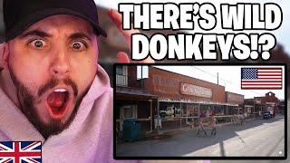 Brit Reacts to Road Tripping Across America... route 66!