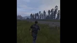 DayZ Official Servers in a Nutshell