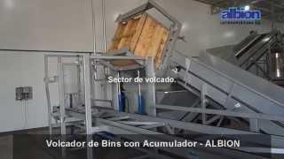 ALBION - Volcador de Bins Acumulador - Bin Tipper Acumulator System