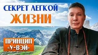 Жизнь станет ЛЕГЧЕ, если знать ЭТО! Принцип Увэй простыми словами. #жизнь #философия