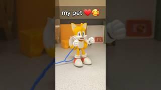 Pet  #tails #animation #meme #funny