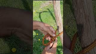 A wonderful and useful knot that is very sturdy