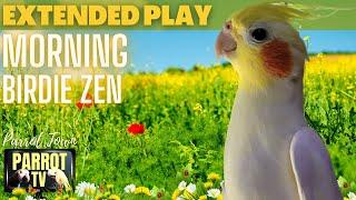 Morning Birdie Zen | Meditation Music for Birds | 9HRS EXTENDED PLAY | Parrot TV for Your Bird Room