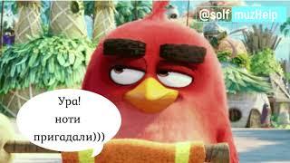 Диктант "Angry Birds" після канікул