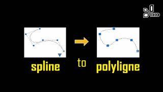 Spline to Polyline AUTOCAD