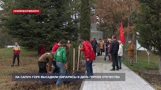 На Сапун-горе высадили кипарисы в День героев Отечества