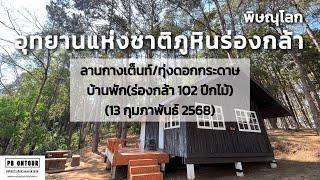 EP.224 อุทยานแห่งชาติภูหินร่องกล้า (บ้านพัก,ลานกางเต็นท์,ทุ่งดอกกระดาษ) จังหวัดพิษณุโลก