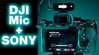 How to set up DJI Mic on a Sony Camera - Settings for Awesome Audio