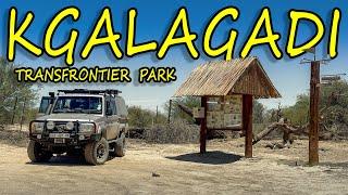 Experience the Kgalagadi LIKE NEVER BEFORE! It Could Be The Best Place On Earth