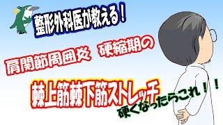 【整形外科医が教える！】四十肩・五十肩　肩の痛みが治まったときの運動　硬くなってしまった人に！①