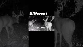 We could be hunting two GIANT Ohio Bucks… #hunting