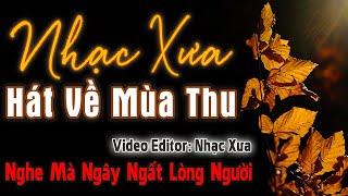 Nhạc Xưa Tình Ca Hát Về Mùa Thu Nghe Mà Ngây Ngất Lòng Người | Tình Khúc Hải Ngoại Bất Hủ