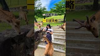 最完美的日本奈良一日游攻略 #奈良 #日本旅游 #奈良一日游 #興福寺 #依水園 #東大寺 #奈良鹿 #春日大社 #若草山 #東向商店街 #京都 #大阪 #旅行攻略