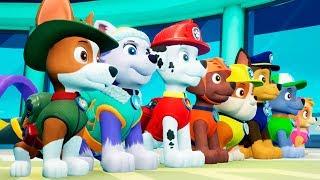 Paw Patrol On A Roll GamePlay - Щенячий Патруль: Отряд Щенков Игра 2020