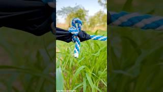 New Tarp Corner knot! #diy #knot