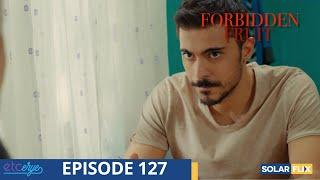 Forbidden Fruit Episode 127 | FULL EPISODE | TAGALOG DUB | Turkish Drama