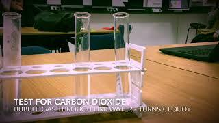 Chemical Tests: Hydrogen and Carbon Dioxide